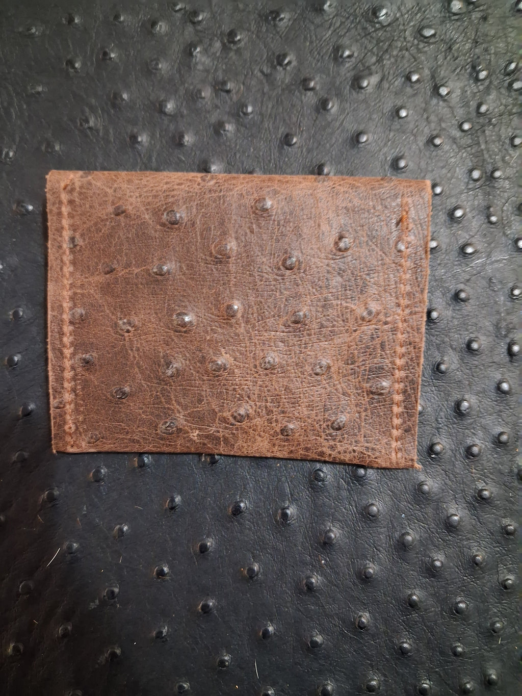 Dark Brown Ostrich Print Coin Purse