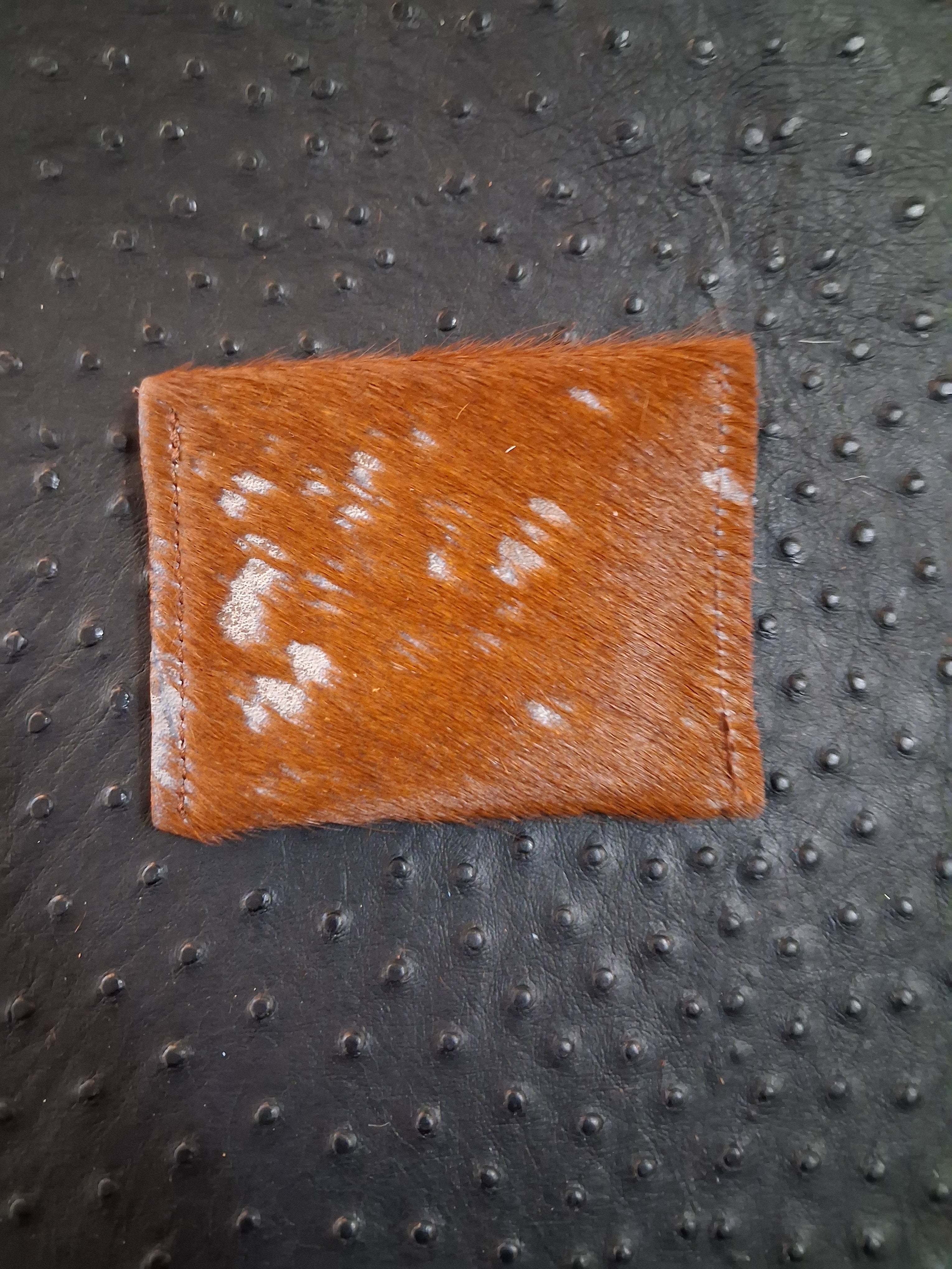 Brown and Blue Coin Purse