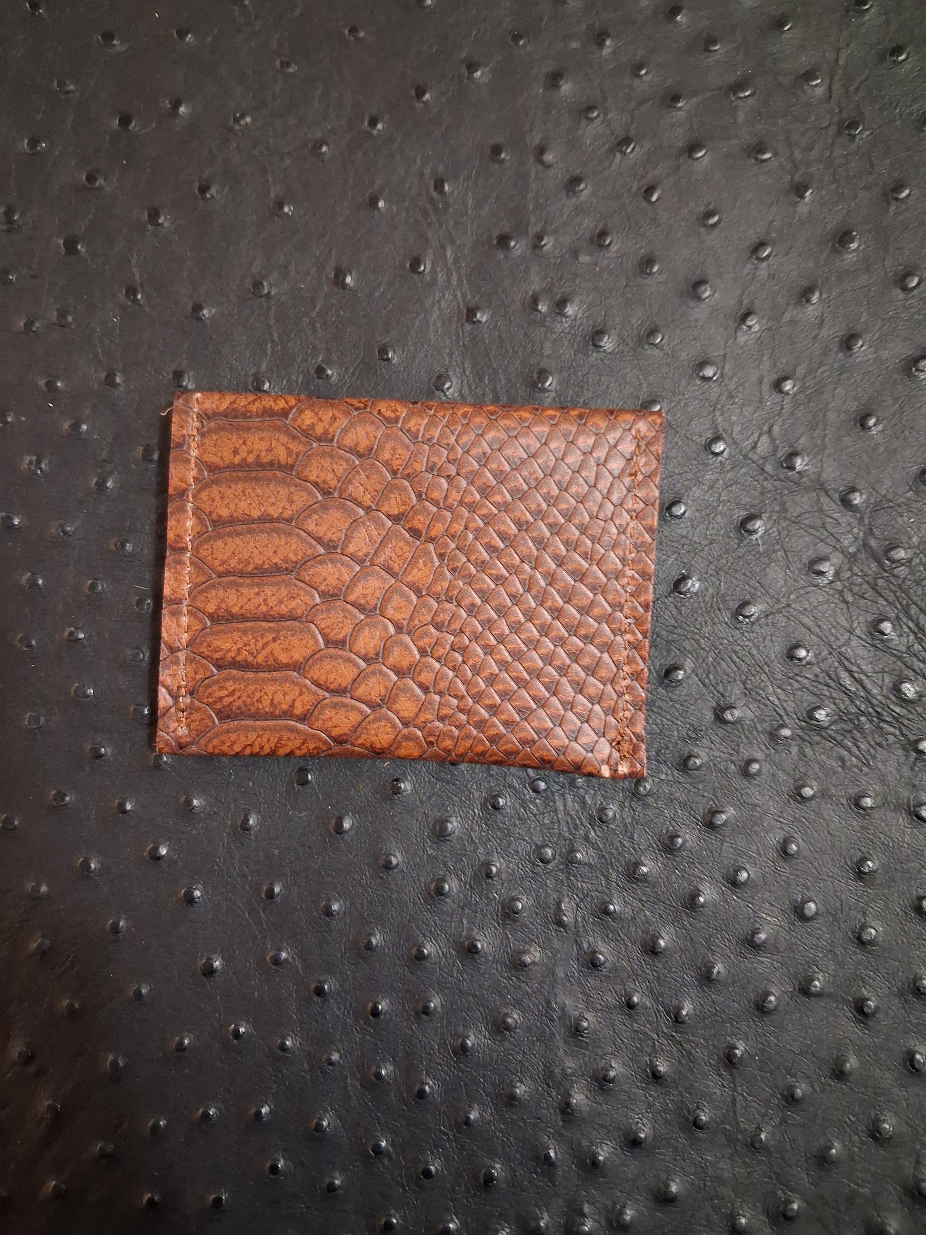 Snake Print Coin Purse