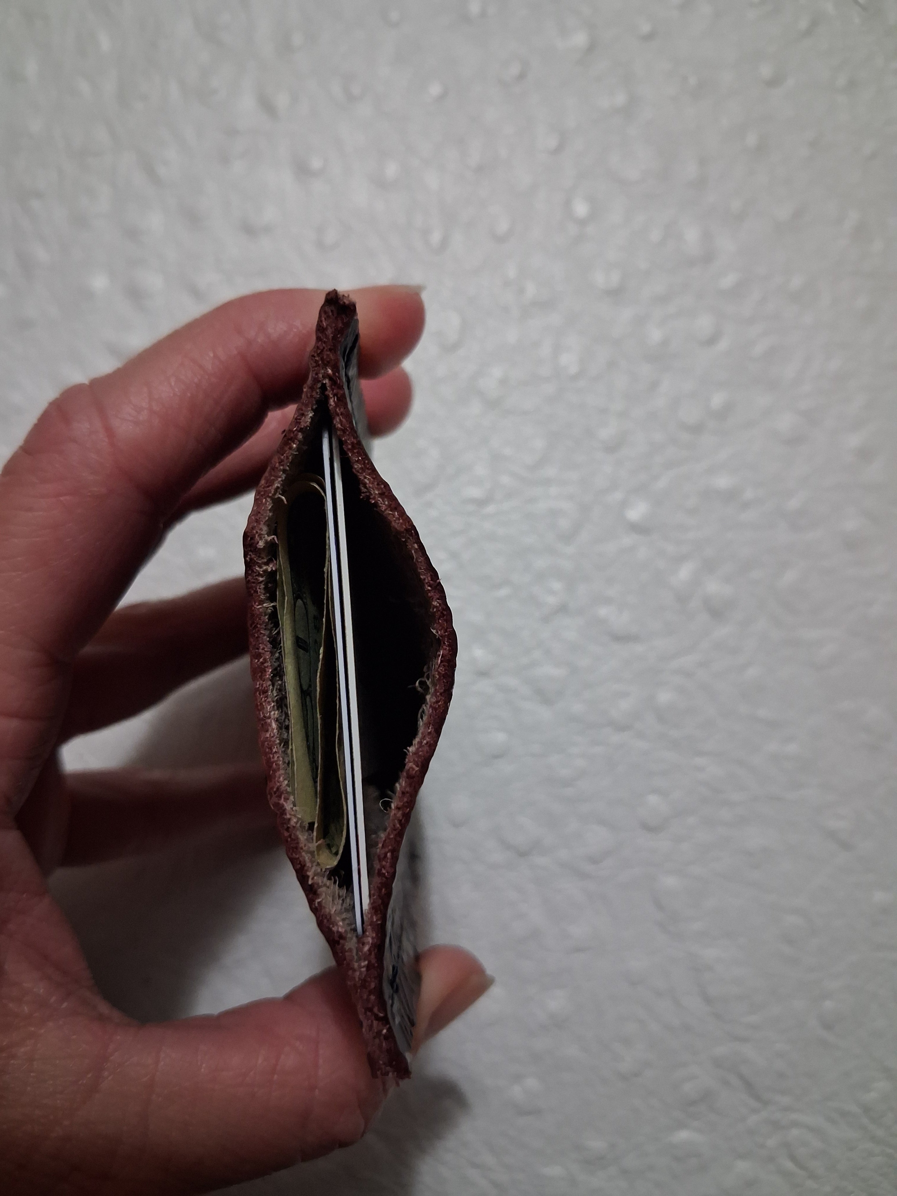 Brown Paisley Print Cardholder
