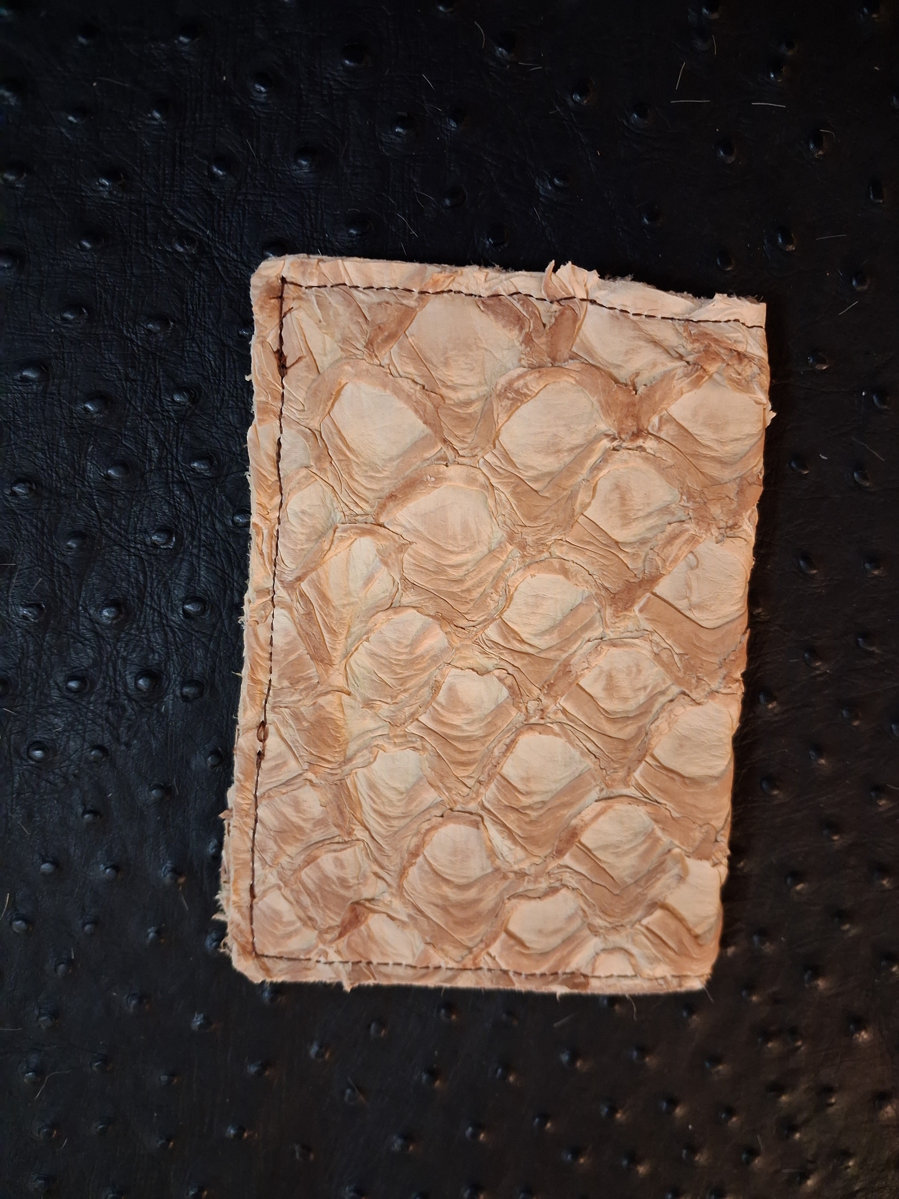 Pirarucu Fish Leather Passport Holder