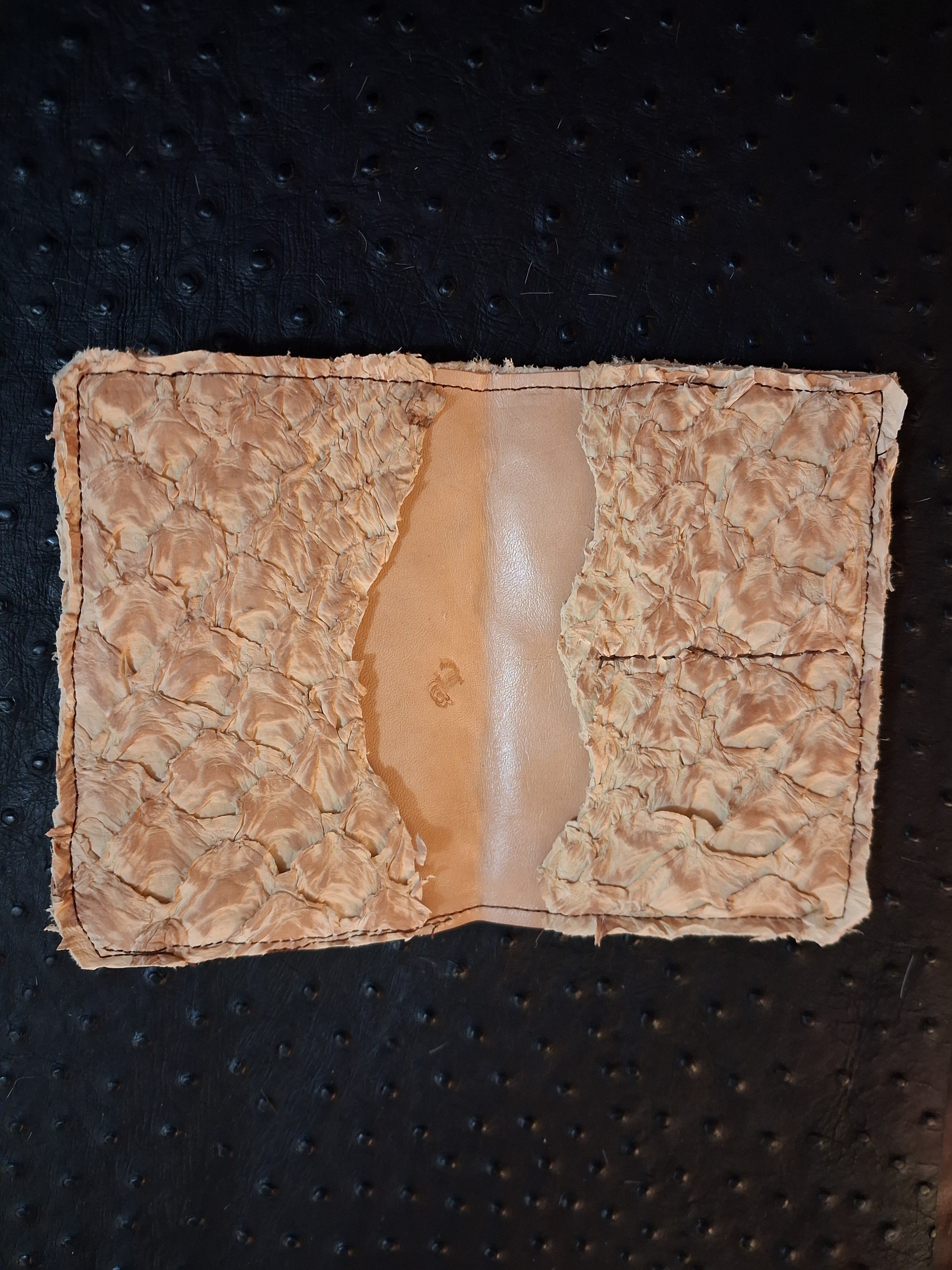 Pirarucu Fish Leather Passport Holder