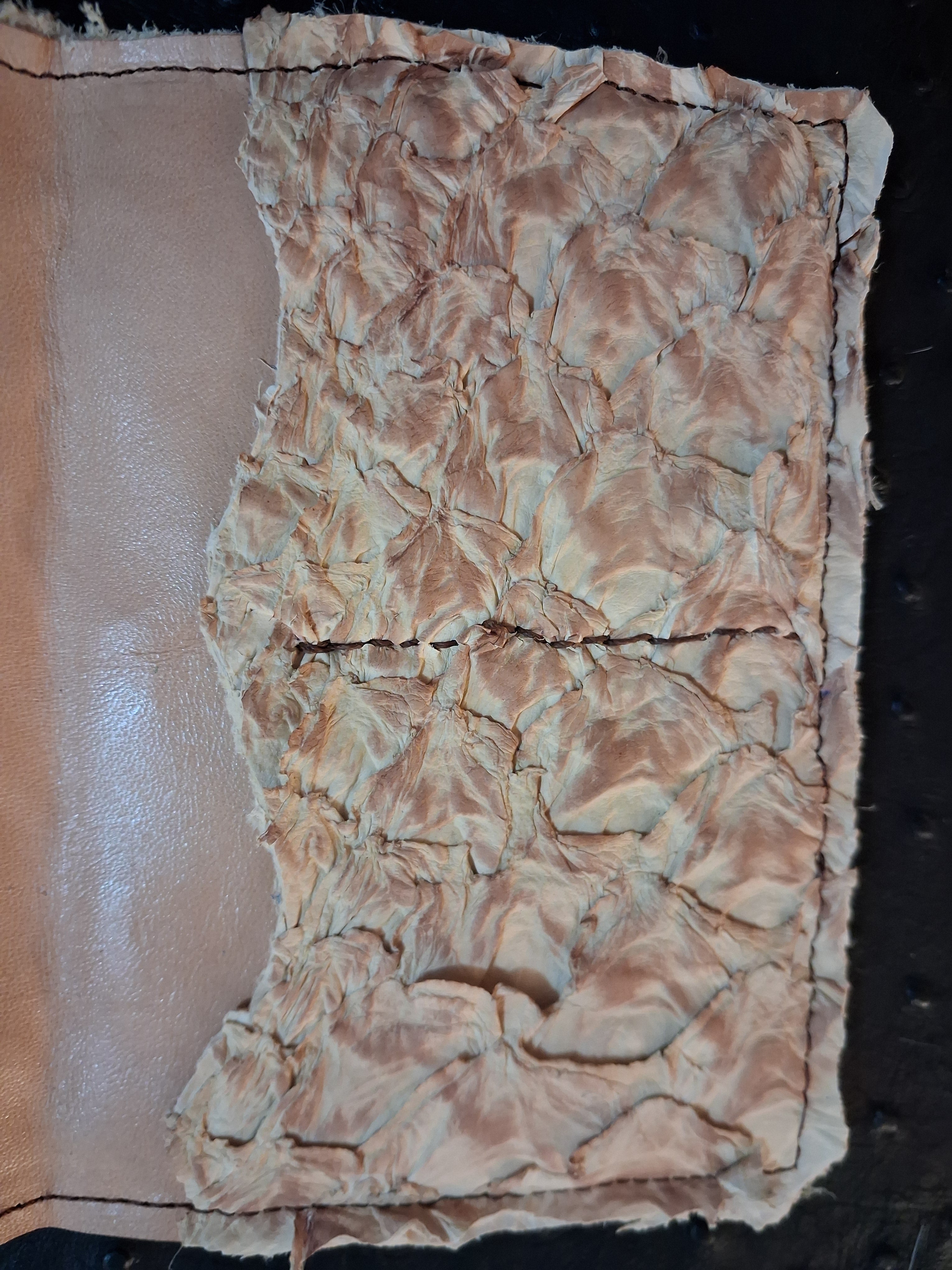 Pirarucu Fish Leather Passport Holder