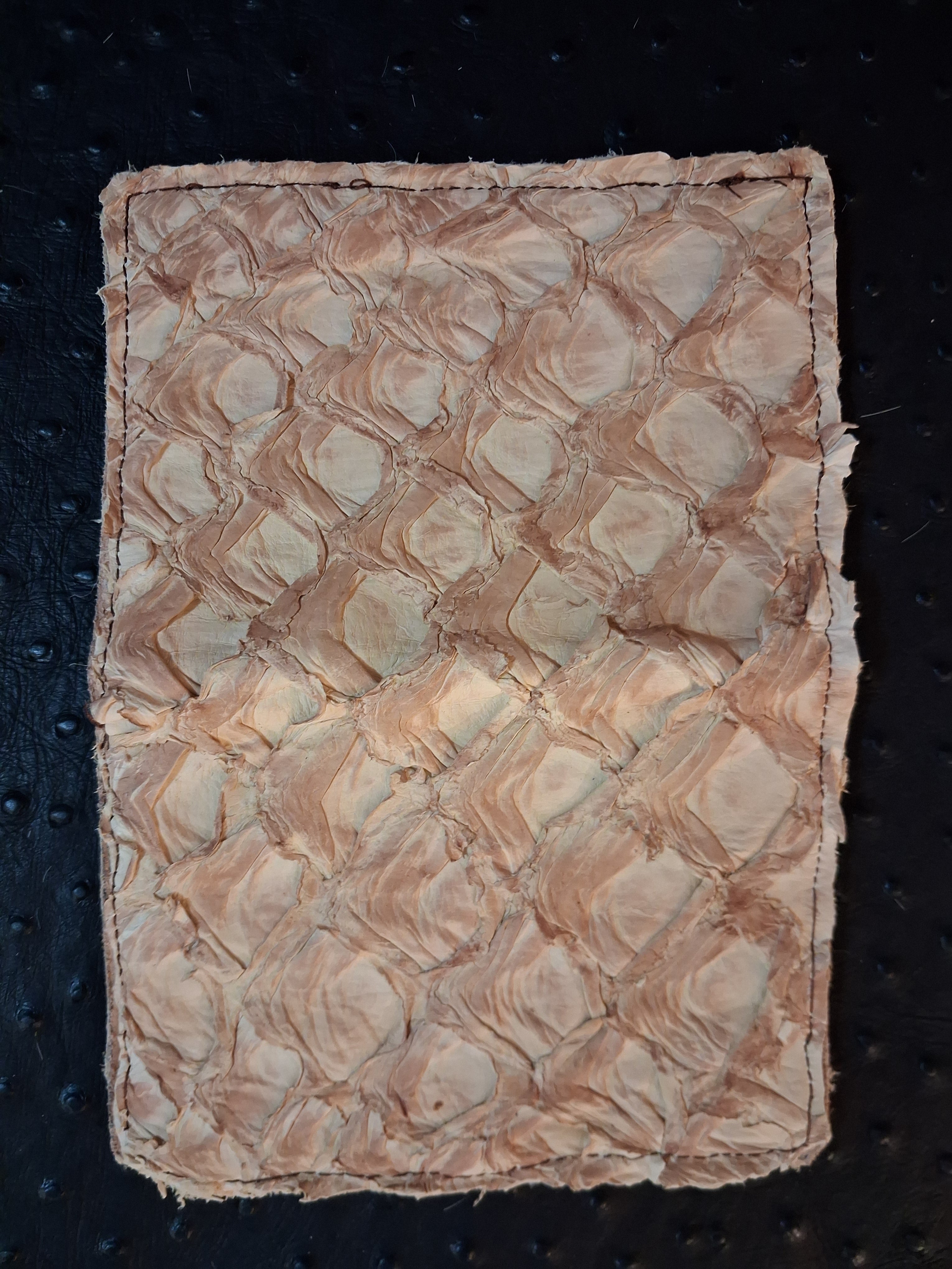 Pirarucu Fish Leather Passport Holder