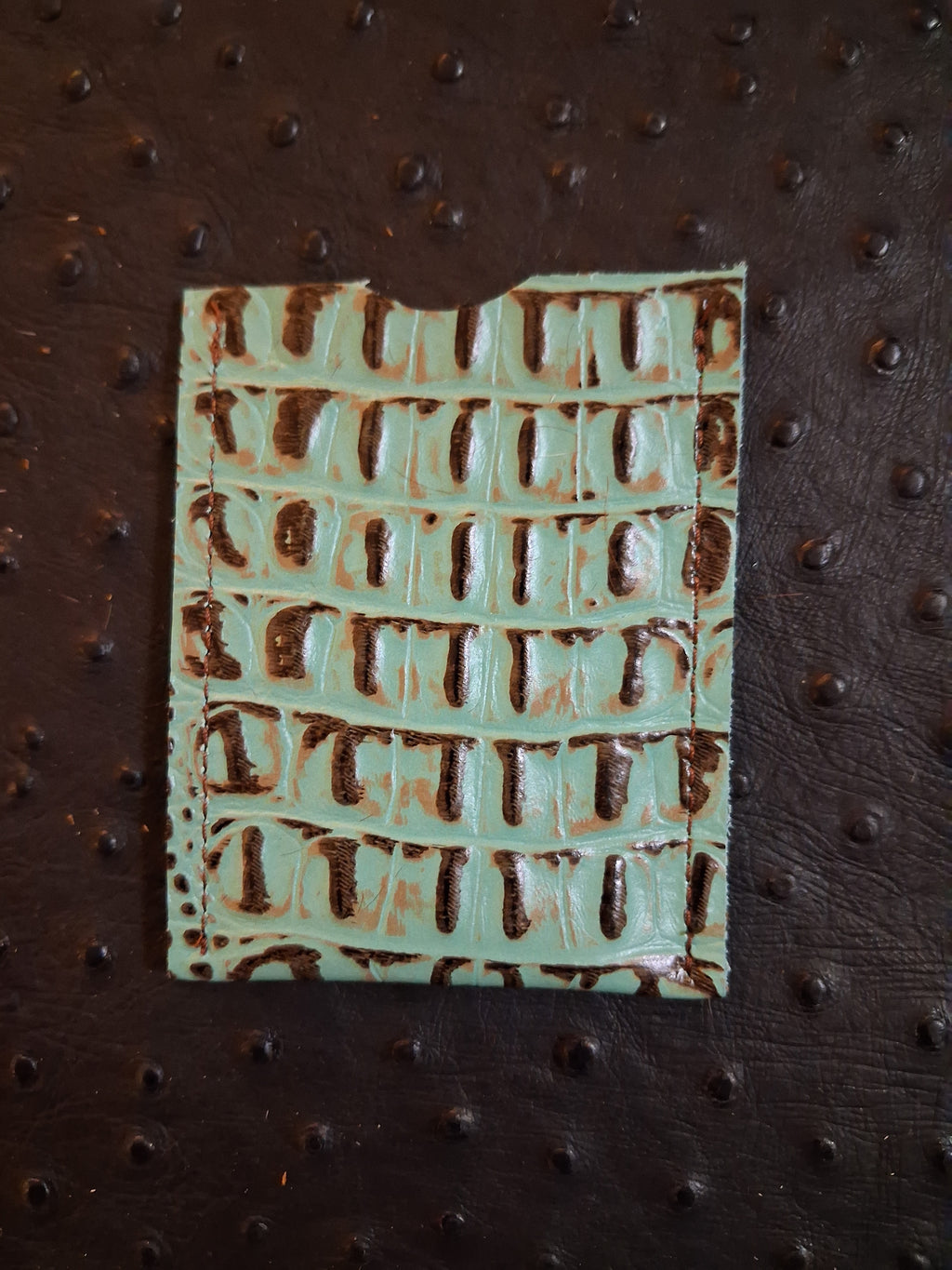 Turquoise and Brown Cardholder